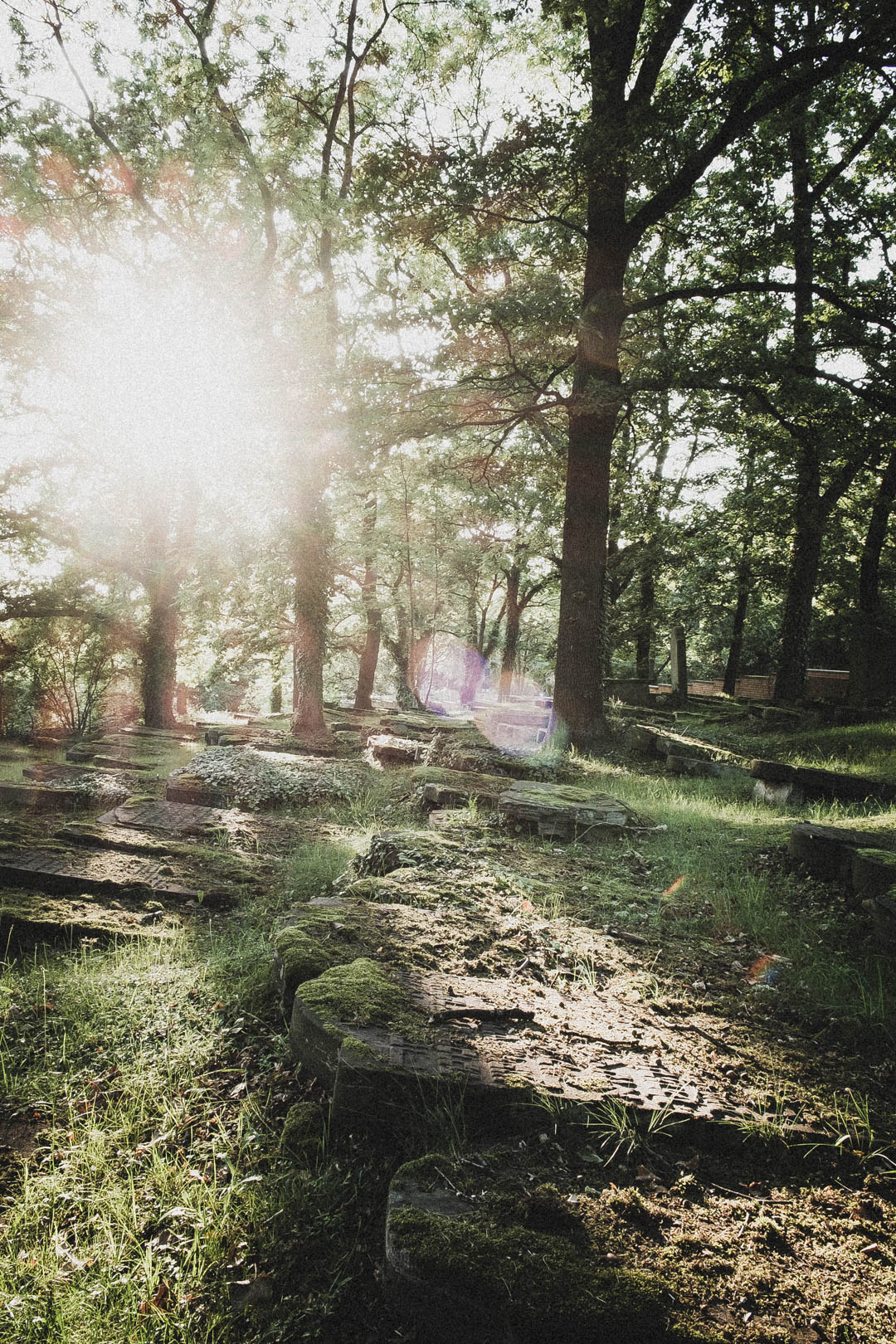 Jüdischer Friedhof Kassel-Bettenhausen